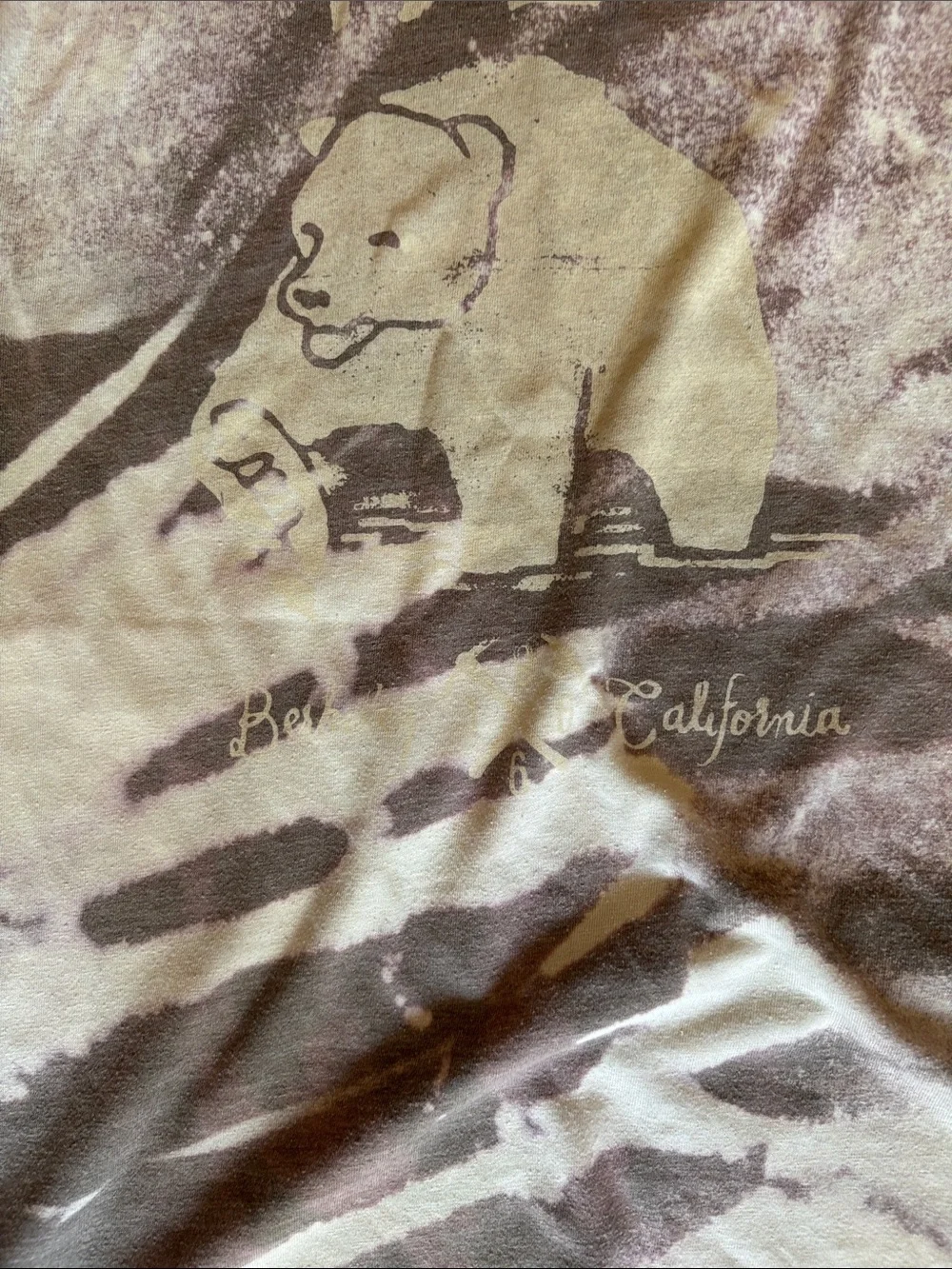 The North Face Men's Short-Sleeve Graphic Tee in Brown and Cream Wash